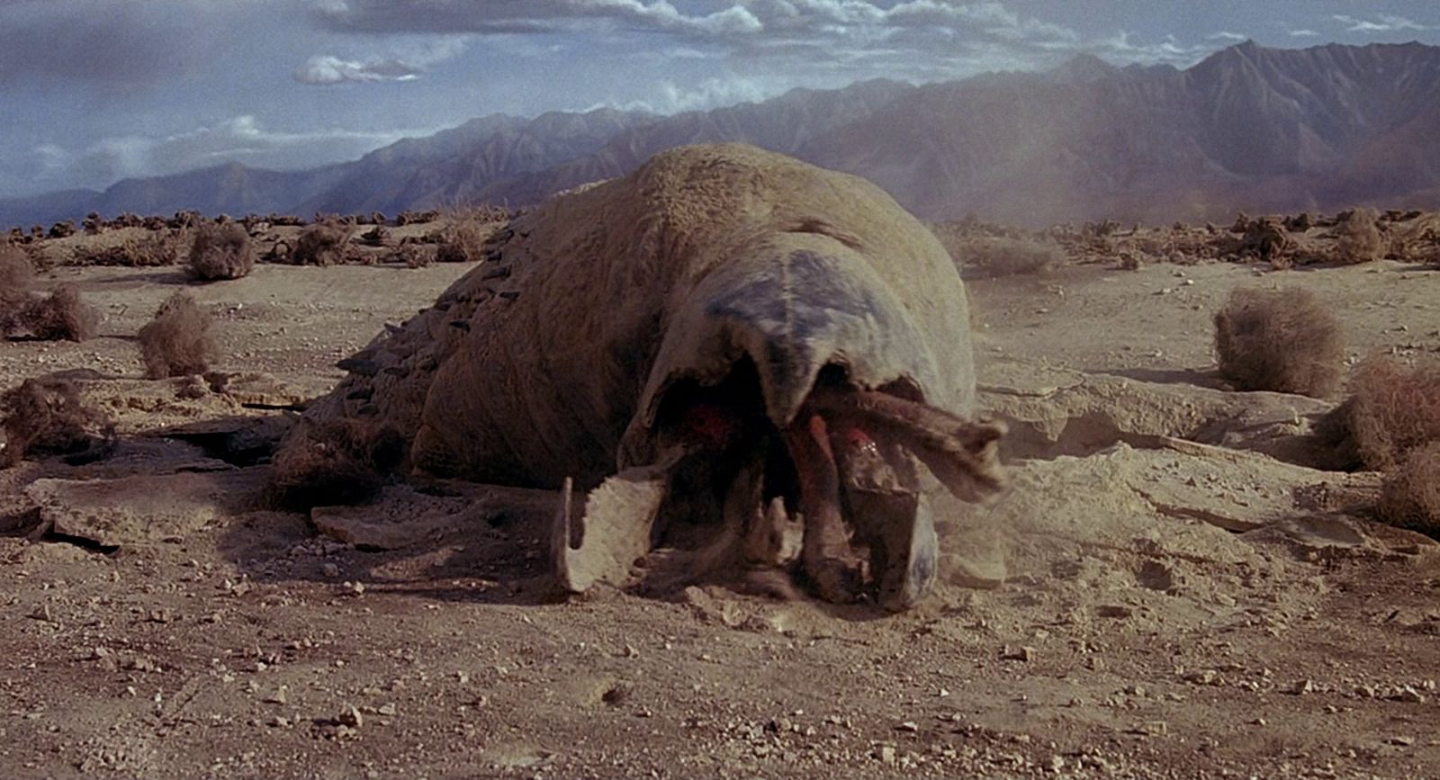 The Cast of Tremors (1990): Where Are They Now?