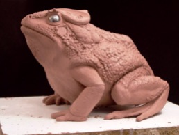The toad maquette.