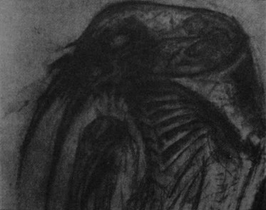 The first Alien sketch, by Dan O'Bannon.