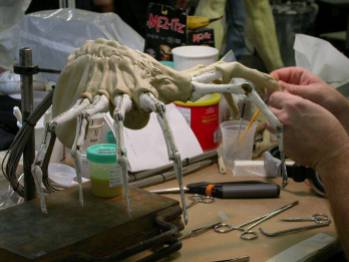Building the practical Facehugger.